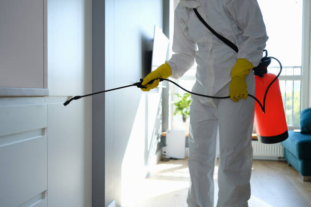 Best Mold Removal for HVAC Installations  in Pawnee, IL